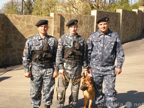 Предложение: Охрана объектов служебными собаками