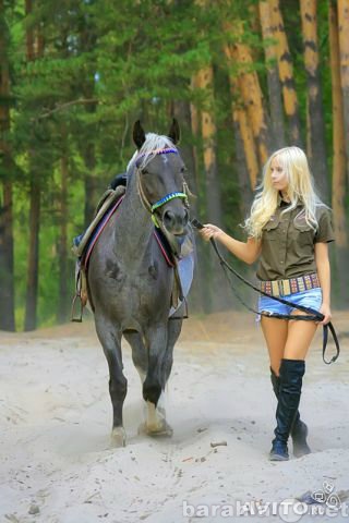 Предложение: Конные прогулки в Абинске
