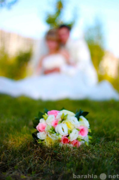 Предложение: Свадебная Фотосъемка в Омске