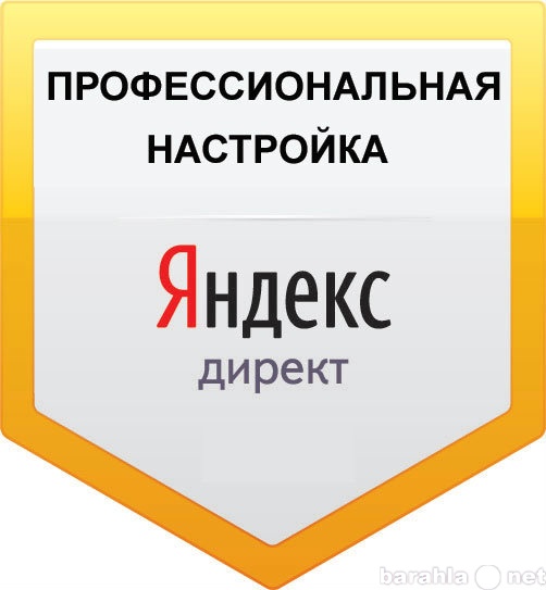 Предложение: Яндекс директ профессиональная настройка