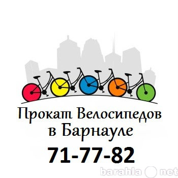 Предложение: Прокат Велосипедов C Доставкой