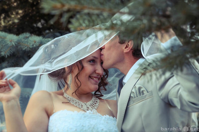 Предложение: Свадебный распорядитель в Санкт-Петербур