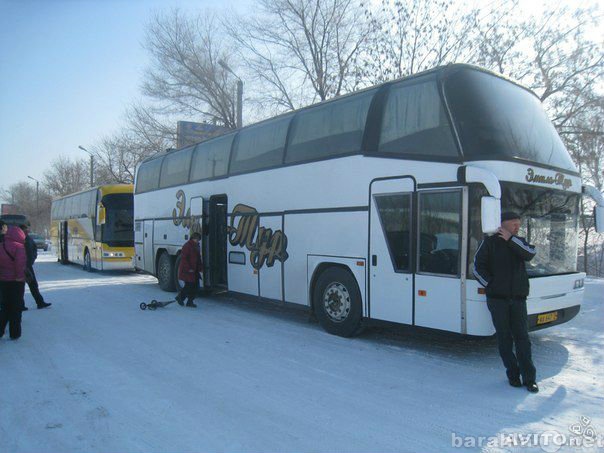 Предложение: Рейсовый автобус:В Москву и обратно