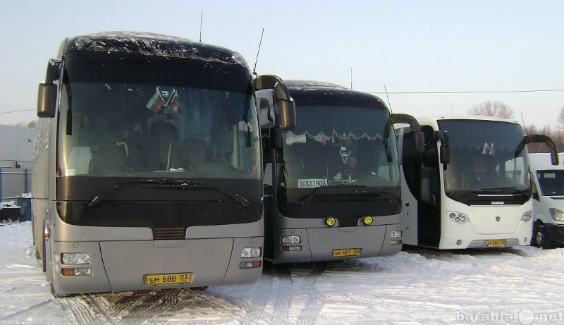 Предложение: Аренда автобусов Skania Man Setra