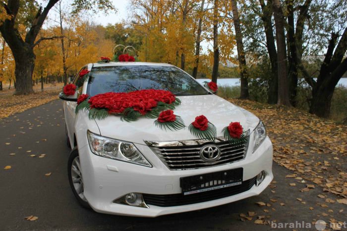Предложение: Прокат авто на свадьбу! Свадебный корт