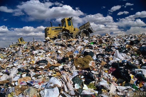 Предложение: Вывоз и утилизация мусора ТБО
