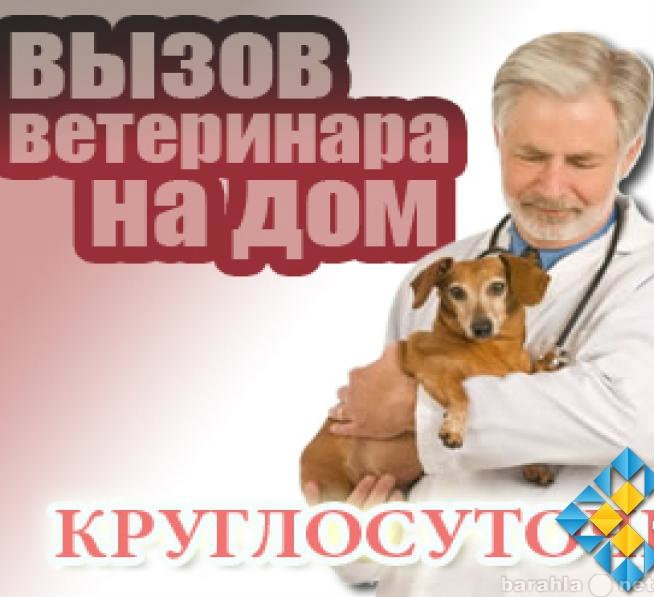 Предложение: Услуги Ветеринара с выездом на дом