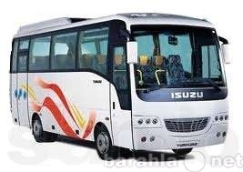 Предложение: Аренда автобуса 50 мест Киев