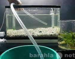 Предложение: Замена воды в аквариуме