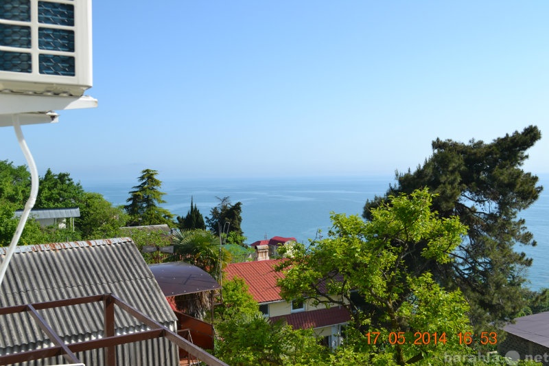 Предложение: Отдых на побережье Черного моря