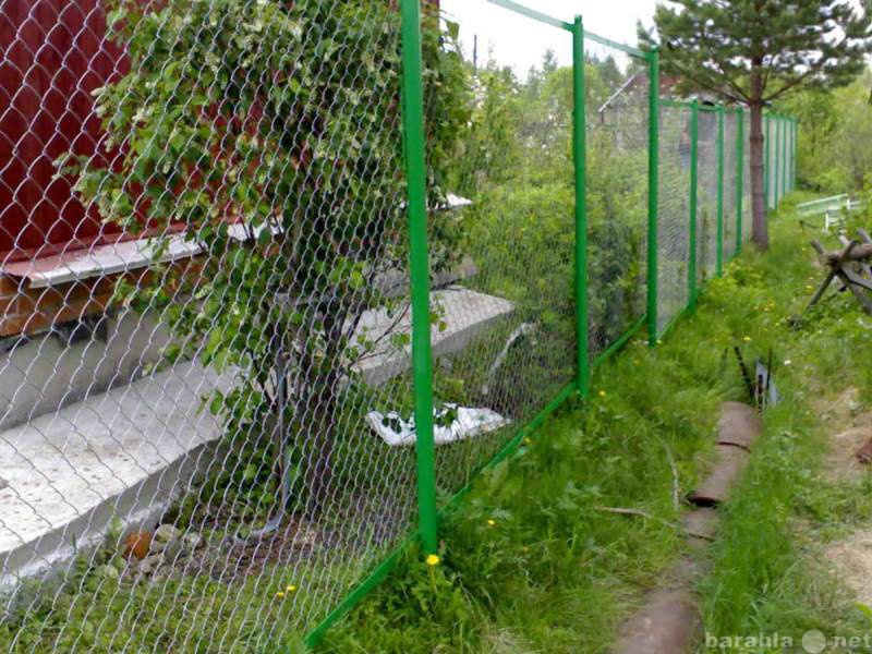 Предложение: Забор из сетки рабицы