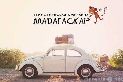 Предложение: Туристическая компания Мадагаскар