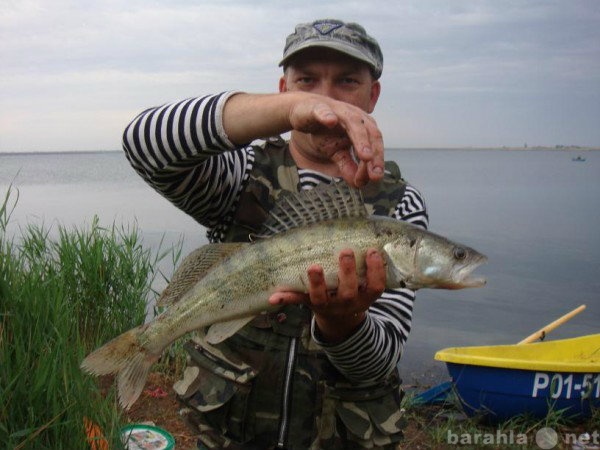 Предложение: Рыбалка на Волге в Астрахани