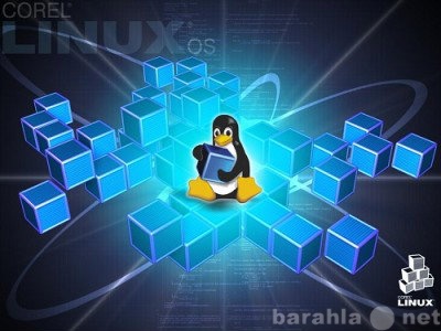 Предложение: Установка Linux