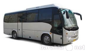 Предложение: Автобусы на дальние поездки
