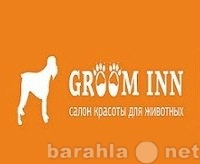 Предложение: Стрижка собак и кошек Groom inn