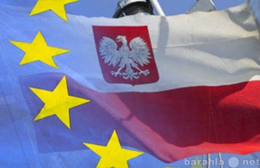 Предложение: Общение с контрагентами в Польше