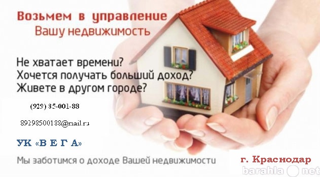 Предложение: Управление коммерческой недвижимостью