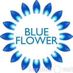 Предложение: Интернет-ресторан Blue Flower