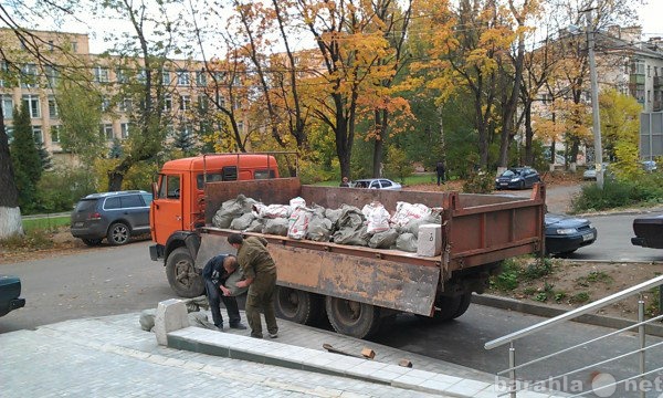 Предложение: Вывоз строймусора. Уборка территорий