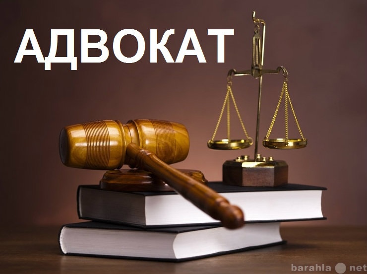 Предложение: Адвокат Березкин Евгений Дмитриевич