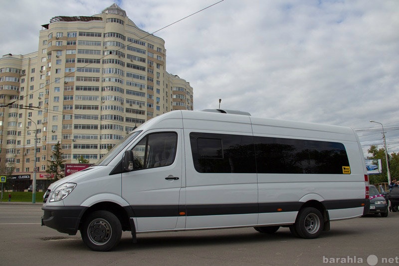 Предложение: Прокат Микроавтобусов от 7 до 21 мест