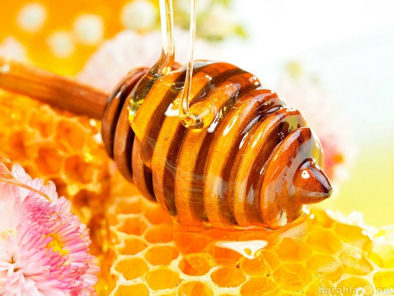 Предложение: Продажа меда и пчеловодческой продукции