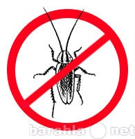 Предложение: Уничтожение всех видов насекомых