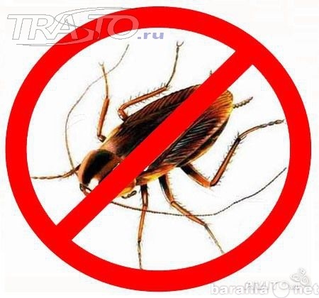 Предложение: Борьба с насекомыми в Самарской области