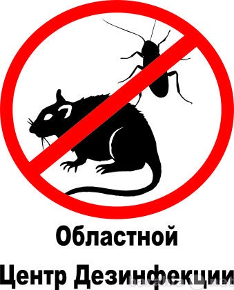 Предложение: Уничтожение насекомых в МО.