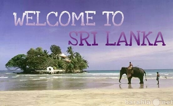 Предложение: Поездки на остров Шри-Ланка.