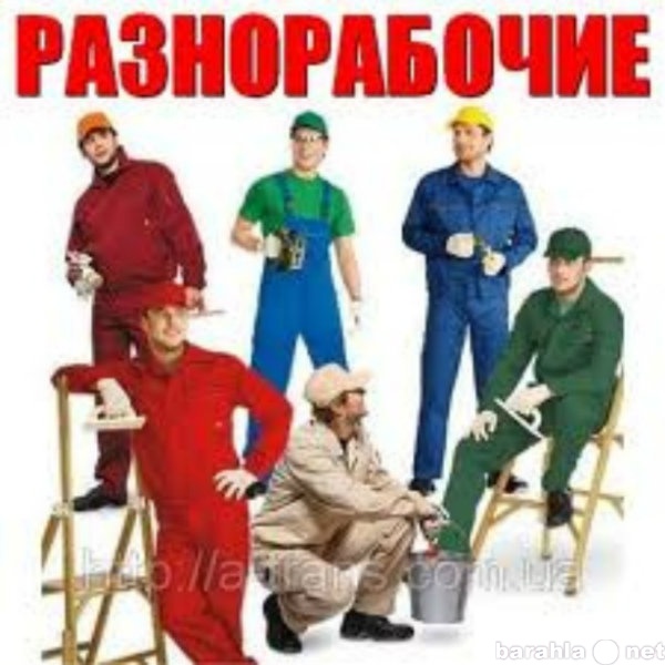 Предложение: разнорабочие