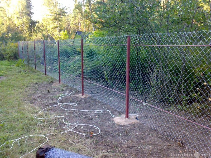 Предложение: Забор из сетки-рабицы