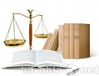 Предложение: Все виды юридических услуг