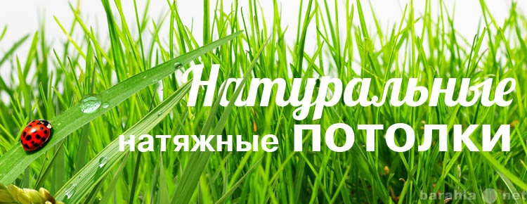 Предложение: Парящие натяжные потолки в Мурманске