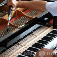 Предложение: Настройка фортепиано (пианино, рояль)