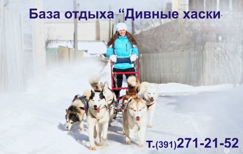Предложение: Катание на собачьей упряжке в Красноярск