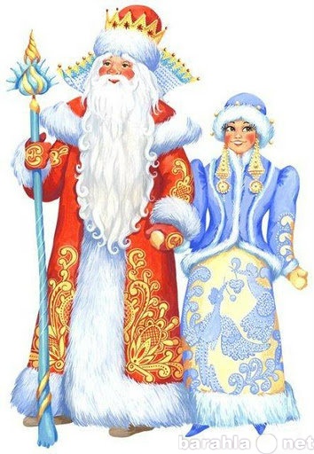 Предложение: Дед мороз и Снегурочка на дом