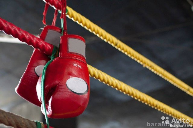 Предложение: Тайский бокс и бокс на Курской