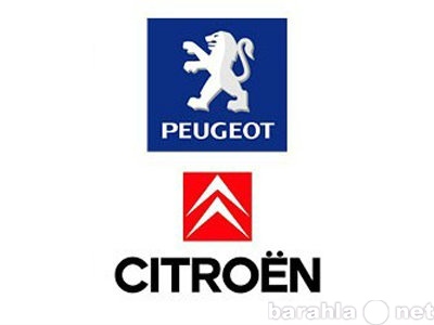 Предложение: Диагностика Peugeot, Citroen