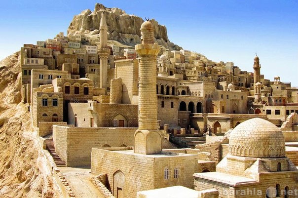 Предложение: Тур в Израиль и на Мертвое море