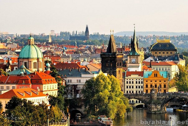 Предложение: Горящий тур в Чехию