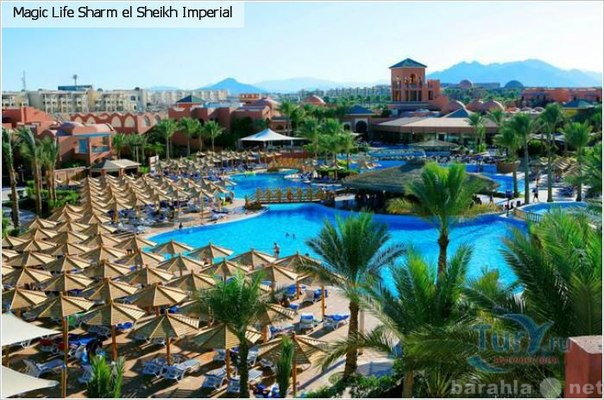 Предложение: Выгодный отдых в Египте