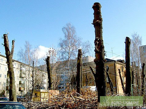 Предложение: удаление деревьев любой сложности.