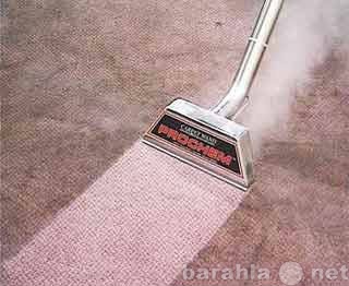 Предложение: Химчистка коврового покрытия