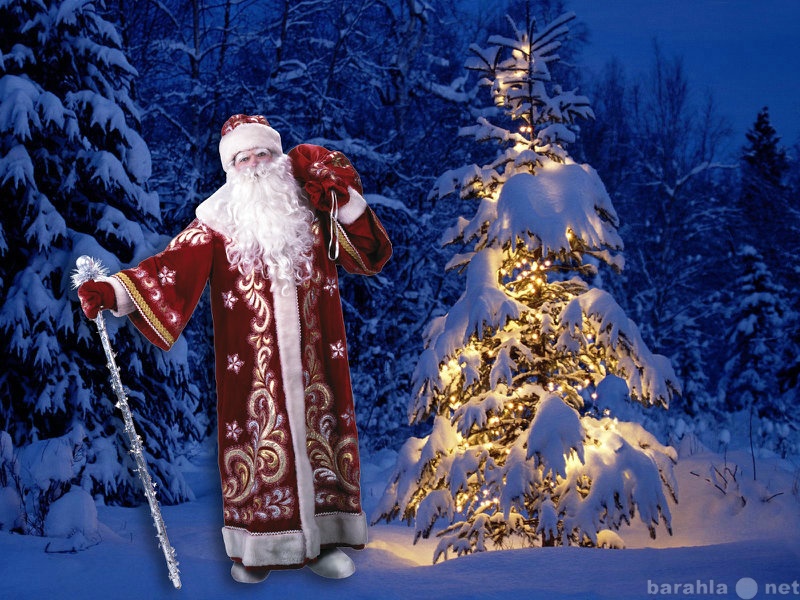 Предложение: Дед Мороз и Снегурочка проведут замечате