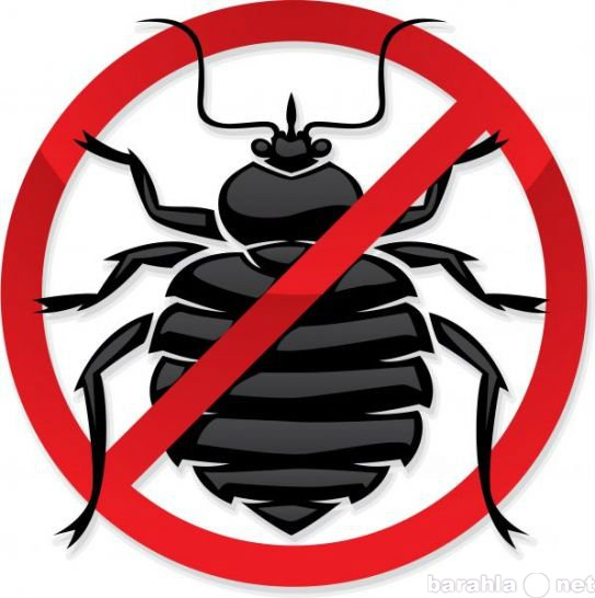 Предложение: Травля насекомых и грызунов Москва и МО