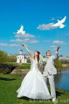 Предложение: Свадебные голуби.