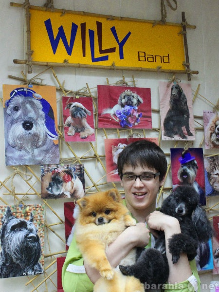 Предложение: стрижка собак и кошек в "WILLY Band