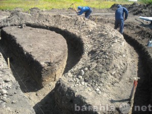 Предложение: Уборка и вывоз мусора